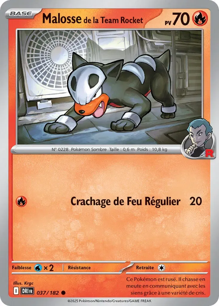 Malosse de la Team Rocket