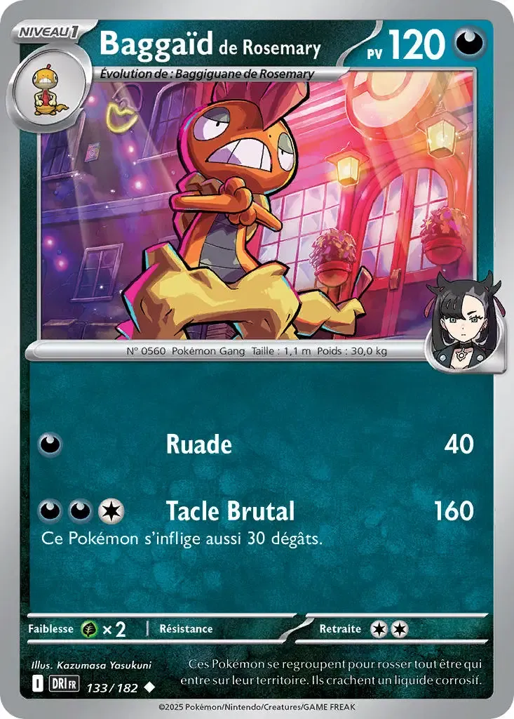 Baggaïd de Rosemary