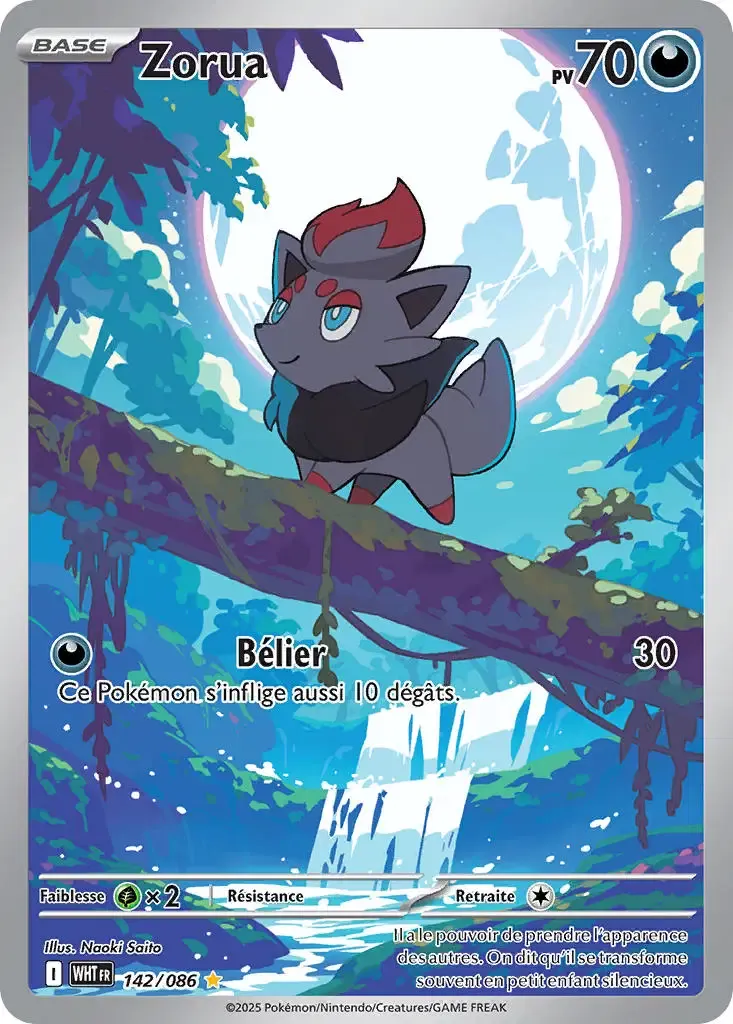 Zorua